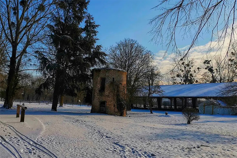  Sous la neige 